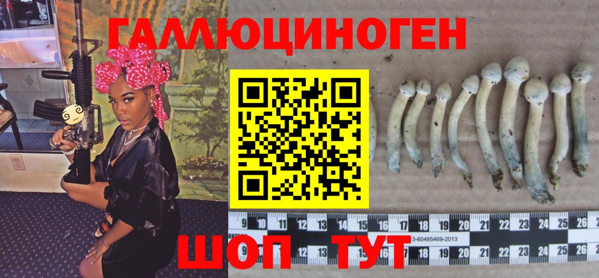 Псилоцибиновые грибы мицелий Миасс